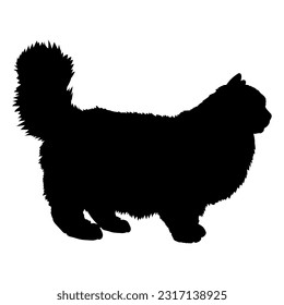 Ragdoll cat silhouette cat breeds vector