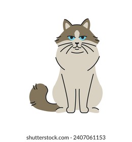 Ragdoll cat sitting color element. Cartoon cute animal. Hand draw vector illustration isolated.  