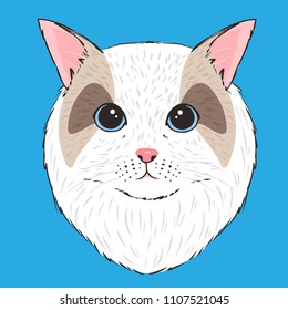 Ragdoll cat sketch with blue background