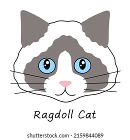 Ragdoll Cat Vektorgrafik. Cute Katzenzucht, einzeln auf weißem Hintergrund. Kawaii Ragdoll Kätzchen. Handgezeichnetes Design im flachen Cartoon-Stil. 