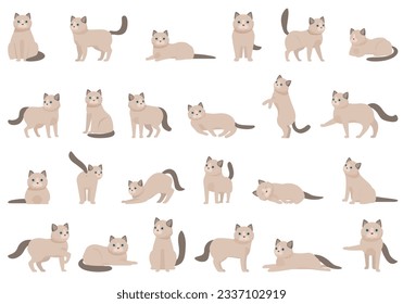 Ragdoll icons set cartoon vector. Nature animal. Cat breed