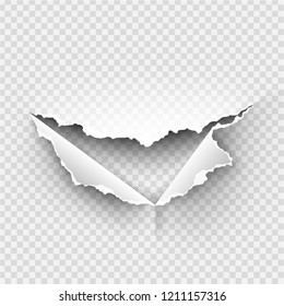 ragged Hole torn in ripped paper on transparent background