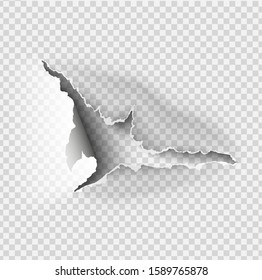 ragged Hole torn in ripped paper on transparent background