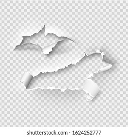 ragged Hole torn in ripped paper on transparent background