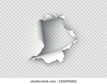 ragged Hole torn in ripped paper on transparent background