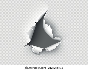ragged Hole torn in ripped paper on transparent background. Vector illustration
