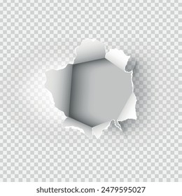 ragged Hole torn in ripped paper on transparent background. Vector illustration