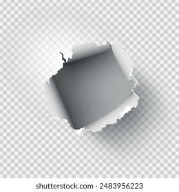 ragged Hole torn in ripped paper on transparent background. Vector illustration