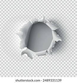 ragged Hole torn in ripped paper on transparent background. Vector illustration