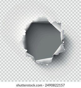 ragged Hole torn in ripped paper on transparent background. Vector illustration