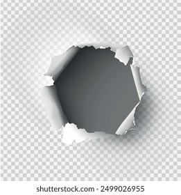 ragged Hole torn in ripped paper on transparent background. Vector illustration