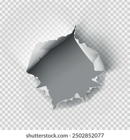 ragged Hole torn in ripped paper on transparent background. Vector illustration