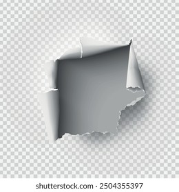 ragged Hole torn in ripped paper on transparent background. Vector illustration