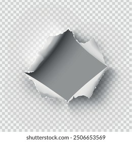 ragged Hole torn in ripped paper on transparent background. Vector illustration