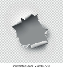 ragged Hole torn in ripped paper on transparent background. Vector illustration