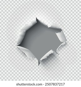 ragged Hole torn in ripped paper on transparent background. Vector illustration