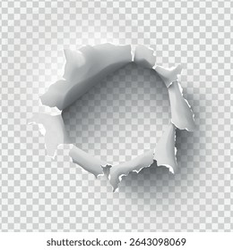 ragged Hole torn in ripped paper on transparent background. Vector illustration