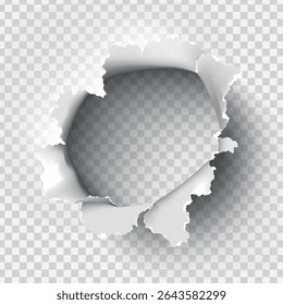 ragged Hole torn in ripped paper on transparent background. Vector illustration
