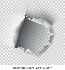 ragged Hole torn in ripped paper on transparent background. Vector illustration