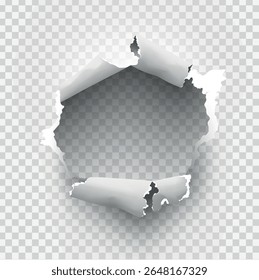 ragged Hole torn in ripped paper on transparent background. Vector illustration