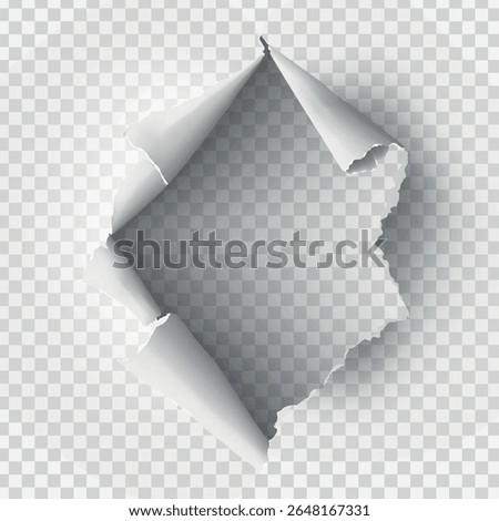 ragged Hole torn in ripped paper on transparent background. Vector illustration