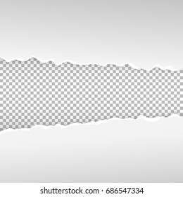 Ragged paper vector illustration on transparent background