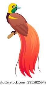 Raggiana bird-of-paradise (Paradisaea raggiana) national bird of Papua New Guinea. Cartoon vector illustration.