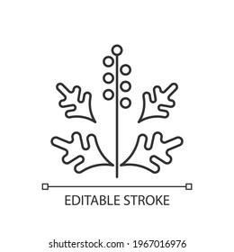 Ragweed pollen linear icon. Blooming ambrosia. Cause of allergic reaction. Allergy for plant. Thin line customizable illustration. Contour symbol. Vector isolated outline drawing. Editable stroke