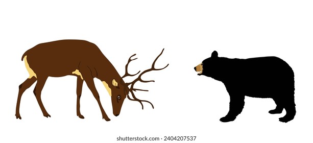 Cerveza contra la ilustración vectorial del oso negro estadounidense aislada en fondo blanco. Batalla por la vida y comida contra el oso. Pato de alce de ciervo. Poderosos y gigantescos ciervos contra depredadores en el bosque.