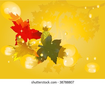 Rain drops in autumnal leaf