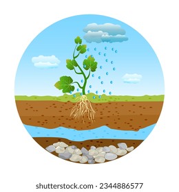 Rain drops falling on the green sprout with roots in the soil. Sky, clouds, rain, plant with root and soil layers in circle frame. Rain and small plant with root system. Stock vector illustration