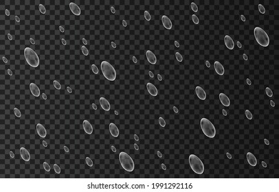 Rain drops isolated on transparent background. Rainfall. Realistic falling water. Vector texture.