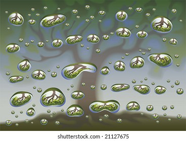 Rain drops on the glass with blurred tree as a background. Vector illustration.