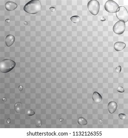 Rain Drops on Transparent Background. Cool Water Drops for Your Design. Condensation on Glass with many Fresh Droplet. Background for Cosmetic  Vector illustration. 