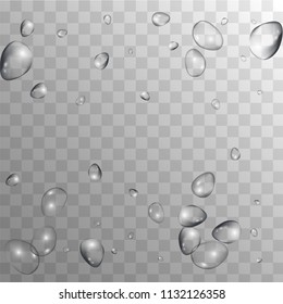 Rain Drops on Transparent Background. Realistic Water Drops for Your Design. Condensation on Glass with many Fresh Droplet. Beauty Background.  Vector illustration. 