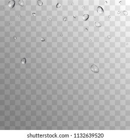 Rain Drops on Transparent Background. Realistic Water Drops for Your Design. Condensation on Glass with many Fresh Droplet. Dew Drop Background. Vector illustration. 