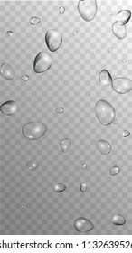 Rain Drops on Transparent Background. Realistic Water Drops for Your Design. Condensation on Glass with many Fresh Droplet. Beauty Background.  Vector illustration. 