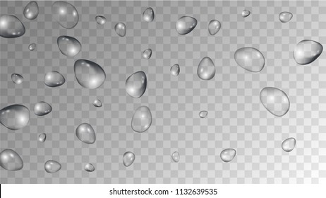 Rain Drops on Transparent Background. Realistic Water Drops for Your Design. Condensation on Glass with many Fresh Droplet. Dew Backdrop. Vector illustration. 