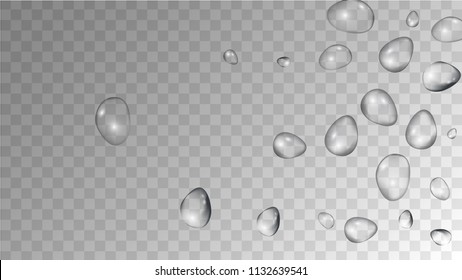 Rain Drops on Transparent Background. Realistic Water Drops for Your Design. Condensation on Glass with many Fresh Droplet. Background for Cosmetic  Vector illustration. 