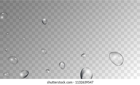 Rain Drops on Transparent Background. Realistic Water Drops for Your Design. Condensation on Glass with many Clean Droplet. Dew Drop Background. Vector illustration. 
