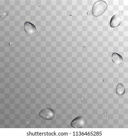 Rain Drops on Transparent Background. Cool Water Drops for Your Design. Condensation on Glass with many Fresh Droplet. Beauty Background.  Vector illustration. 