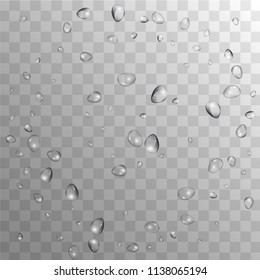 Rain Drops on Transparent Background. Cool Water Drops for Your Design. Condensation on Glass with many Fresh Droplet. Background for Cosmetic  Vector illustration. 