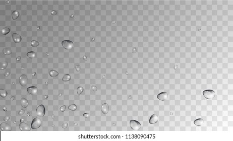 Rain Drops on Transparent Background. Realistic Water Drops for Your Design. Condensation on Glass with many Fresh Droplet. Dew Drop Background. Vector illustration. 