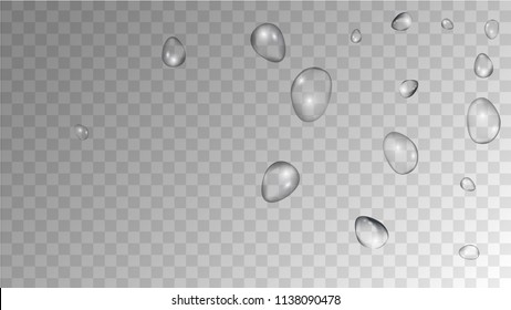 Rain Drops on Transparent Background. Beautiful Water Drops for Your Design. Condensation on Glass with many Fresh Droplet. Dew Backdrop. Vector illustration. 