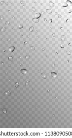 Rain Drops on Transparent Background. Realistic Water Drops for Your Design. Condensation on Glass with many Fresh Droplet. Beauty Background.  Vector illustration. 