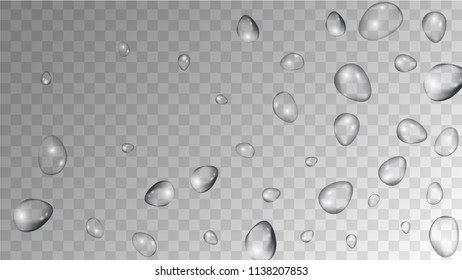 Rain Drops on Transparent Background. Realistic Water Drops for Your Design. Condensation on Glass with many Clean Droplet. Dew Drop Background. Vector illustration. 