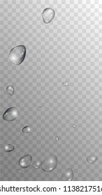 Rain Drops on Transparent Background. Realistic Water Drops for Your Design. Condensation on Glass with many Fresh Droplet. Dew Backdrop. Vector illustration. 