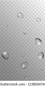 Rain Drops on Transparent Background. Beautiful Water Drops for Your Design. Condensation on Glass with many Fresh Droplet. Background for Cosmetic  Vector illustration. 