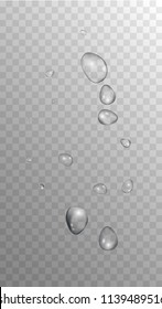 Rain Drops on Transparent Background. Realistic Water Drops for Your Design. Condensation on Glass with many Clean Droplet. Beauty Background.  Vector illustration. 