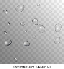 Rain Drops on Transparent Background. Beautiful Water Drops for Your Design. Condensation on Glass with many Fresh Droplet. Dew Drop Background. Vector illustration. 